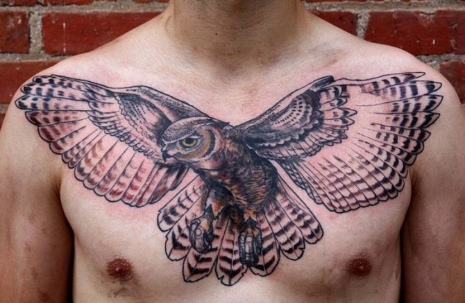 Signification du tatouage de chouette sur le cou d'un homme