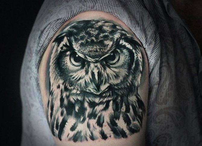 Signification du tatouage de chouette sur le cou d'un homme