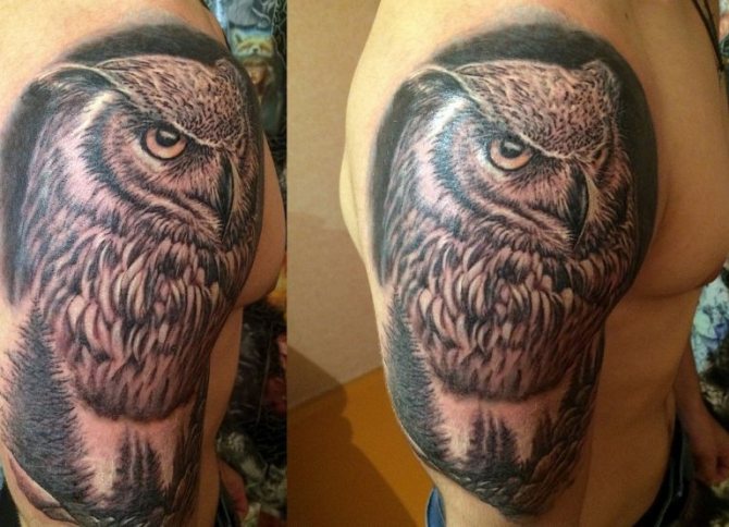 Signification du tatouage de chouette sur le cou d'un homme