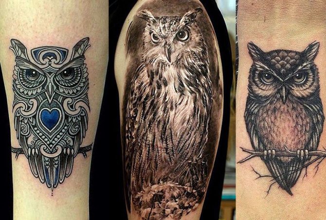 Signification du tatouage de chouette sur le cou d'un homme