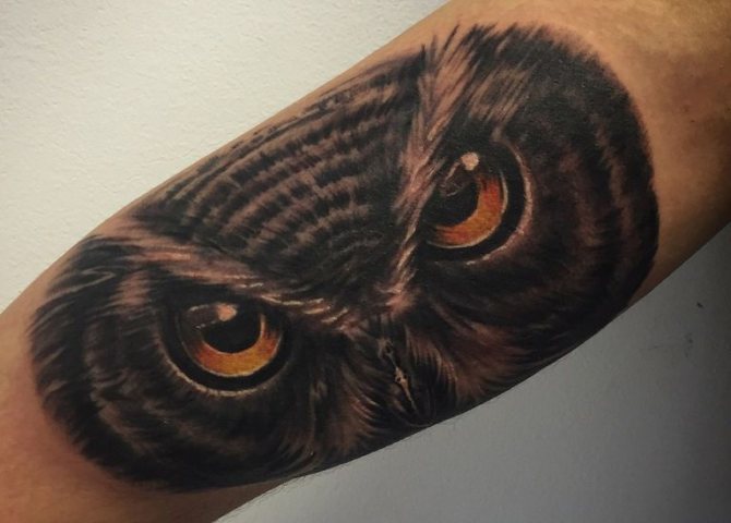 Signification du tatouage de chouette sur le cou d'un homme
