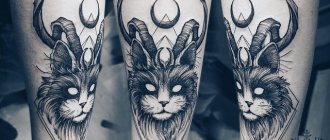 Significato del tatuaggio del gatto per ragazze e uomini, gatto egiziano, sfinge, testa di gatto, nero, ali, zampe