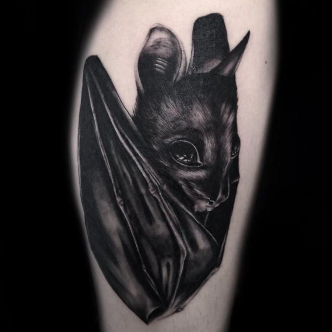 Bat Tattoo jelentése