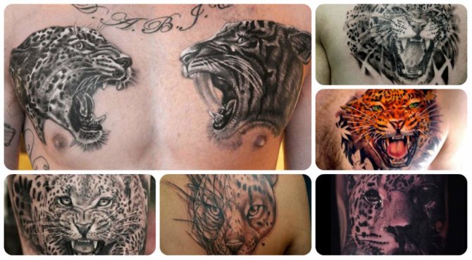 Jaguar tattoo meaning-and-photo-examples-with-successful-variants-1024x563.jpg