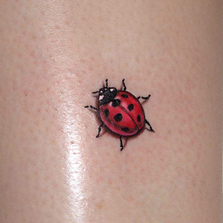 あいじょうひょうげん