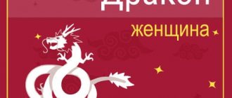 ZWoman Dragon: rasgos de carácter, carrera, amor y familia